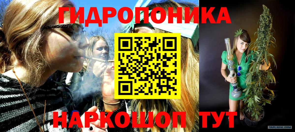 Бошки Шишки Amnesia Владимир